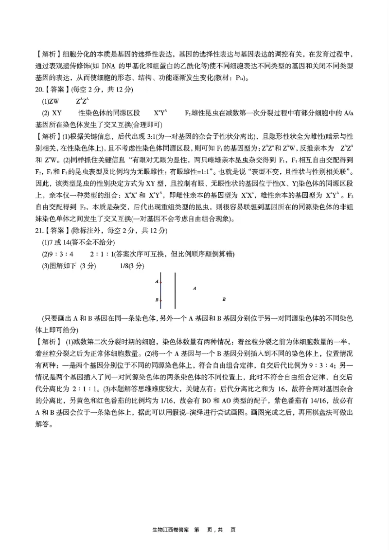 2025届江西省九校联考高三上学期11月期中考试生物（含答案）_2024-2025高三（6-6月题库）_2024年11月试卷_11172025届江西省九校联考高三上学期11月期中考试（全科）