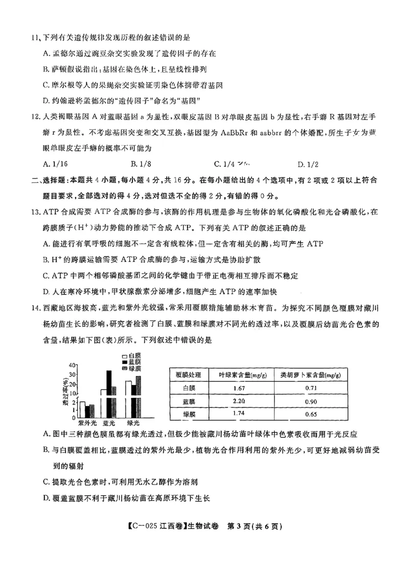 2025届江西省九校联考高三上学期11月期中考试生物（含答案）_2024-2025高三（6-6月题库）_2024年11月试卷_11172025届江西省九校联考高三上学期11月期中考试（全科）