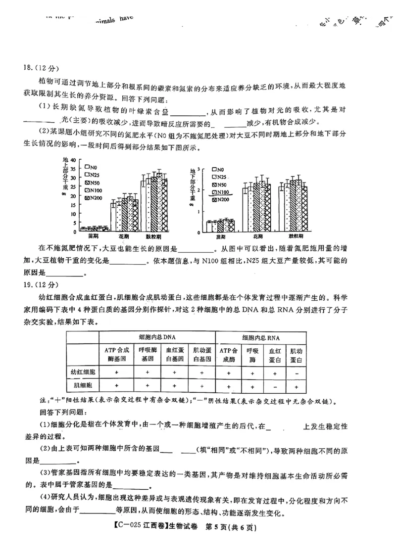 2025届江西省九校联考高三上学期11月期中考试生物（含答案）_2024-2025高三（6-6月题库）_2024年11月试卷_11172025届江西省九校联考高三上学期11月期中考试（全科）