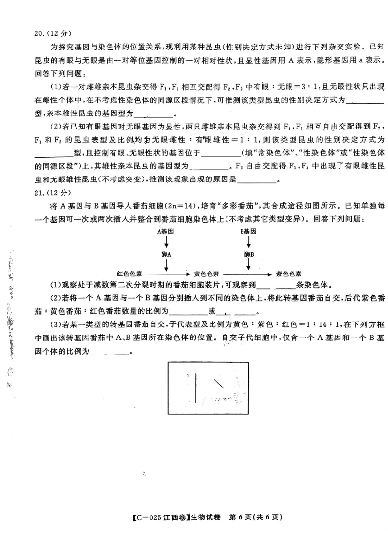 2025届江西省九校联考高三上学期11月期中考试生物（含答案）_2024-2025高三（6-6月题库）_2024年11月试卷_11172025届江西省九校联考高三上学期11月期中考试（全科）