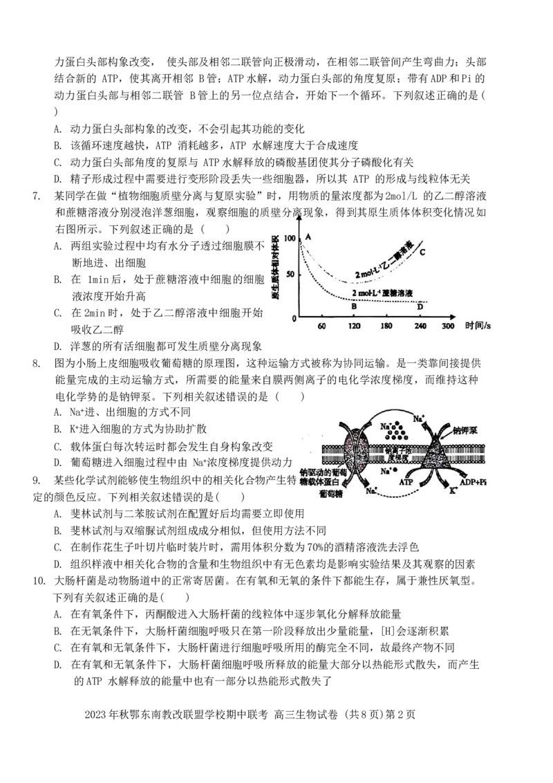 2023年秋季鄂东南省级示范高中教育教学改革联盟学校期中联考高三生物试卷(1)_2023年11月_0211月合集_2024届湖北省鄂东南省级示范高中教育教学改革联盟学校高三上学期期中联考