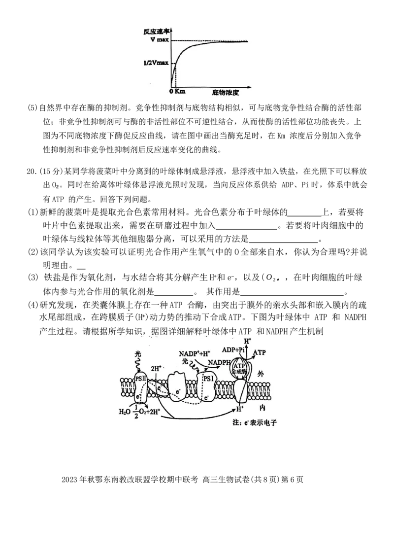 2023年秋季鄂东南省级示范高中教育教学改革联盟学校期中联考高三生物试卷(1)_2023年11月_0211月合集_2024届湖北省鄂东南省级示范高中教育教学改革联盟学校高三上学期期中联考