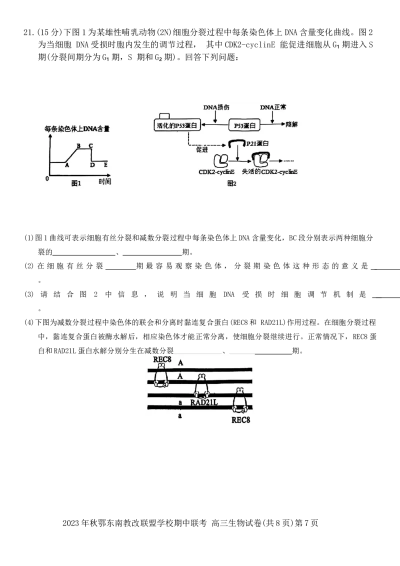2023年秋季鄂东南省级示范高中教育教学改革联盟学校期中联考高三生物试卷(1)_2023年11月_0211月合集_2024届湖北省鄂东南省级示范高中教育教学改革联盟学校高三上学期期中联考