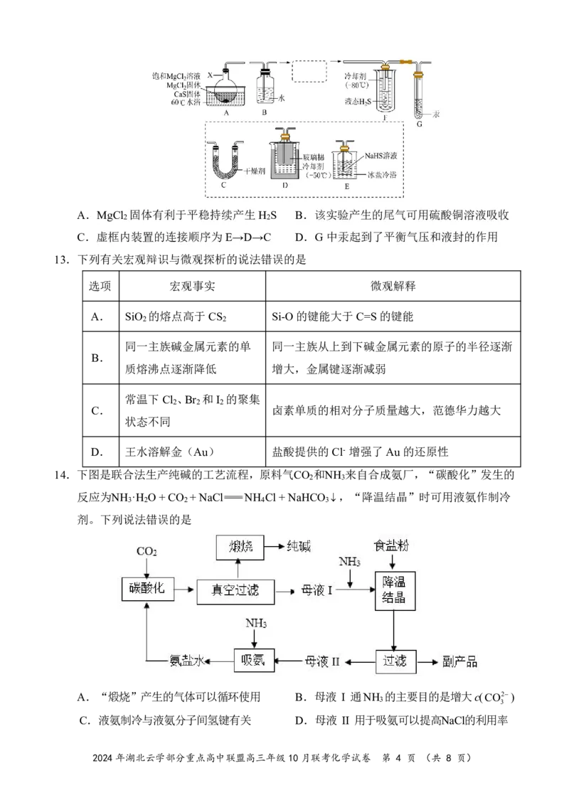 2024年湖北云学部分重点高中联盟高三年级10月联考化学试题_2024-2025高三（6-6月题库）_2024年10月试卷_10122025届湖北云学部分重点高中联盟高三年级10月联考