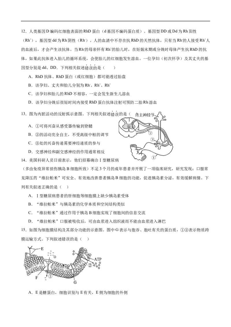 云南省保山市腾冲市第八中学2024-2025学年高二下学期5月期中生物试卷（含答案）_2024-2025高二（7-7月题库）_2025年6月试卷