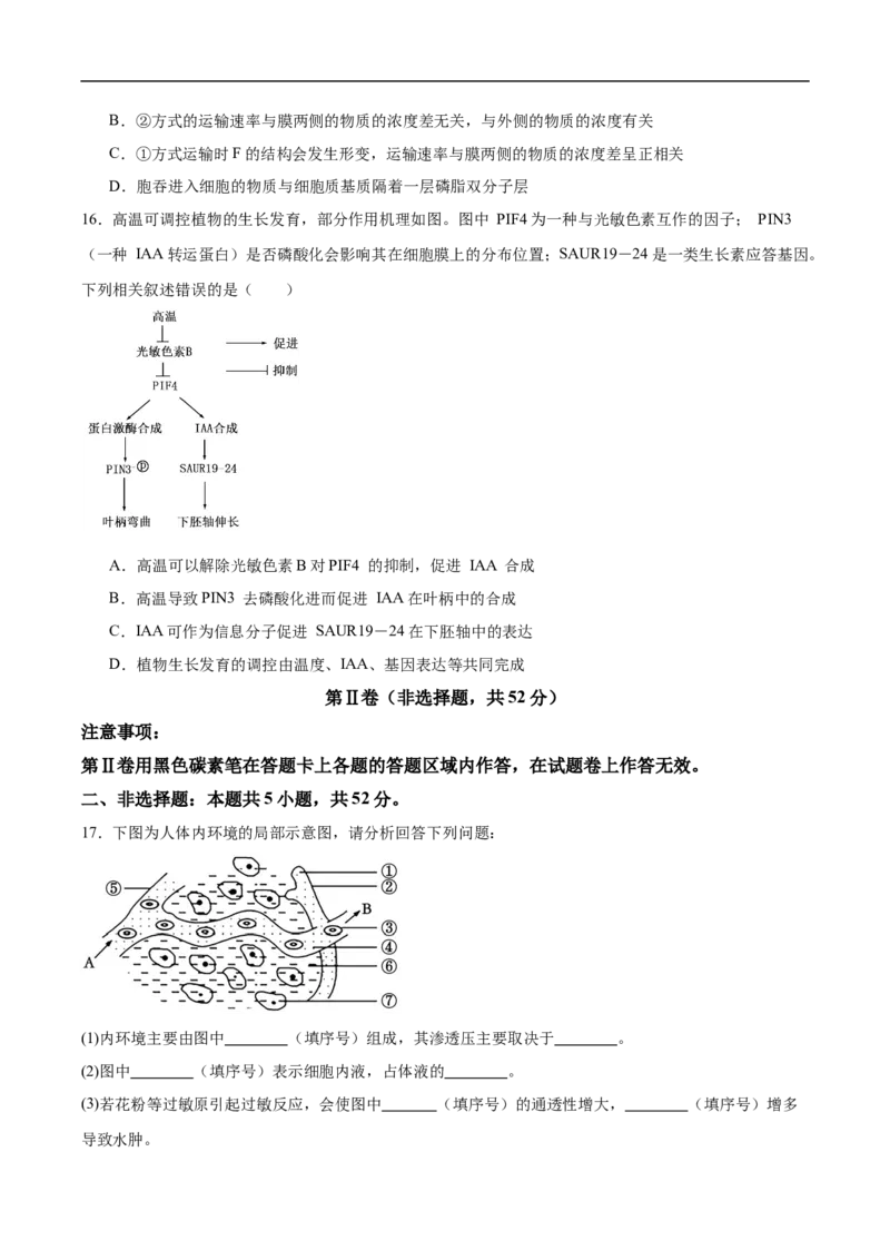 云南省保山市腾冲市第八中学2024-2025学年高二下学期5月期中生物试卷（含答案）_2024-2025高二（7-7月题库）_2025年6月试卷