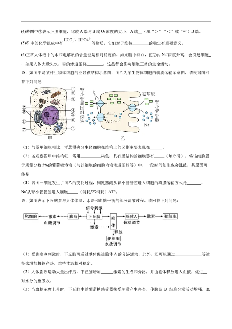 云南省保山市腾冲市第八中学2024-2025学年高二下学期5月期中生物试卷（含答案）_2024-2025高二（7-7月题库）_2025年6月试卷