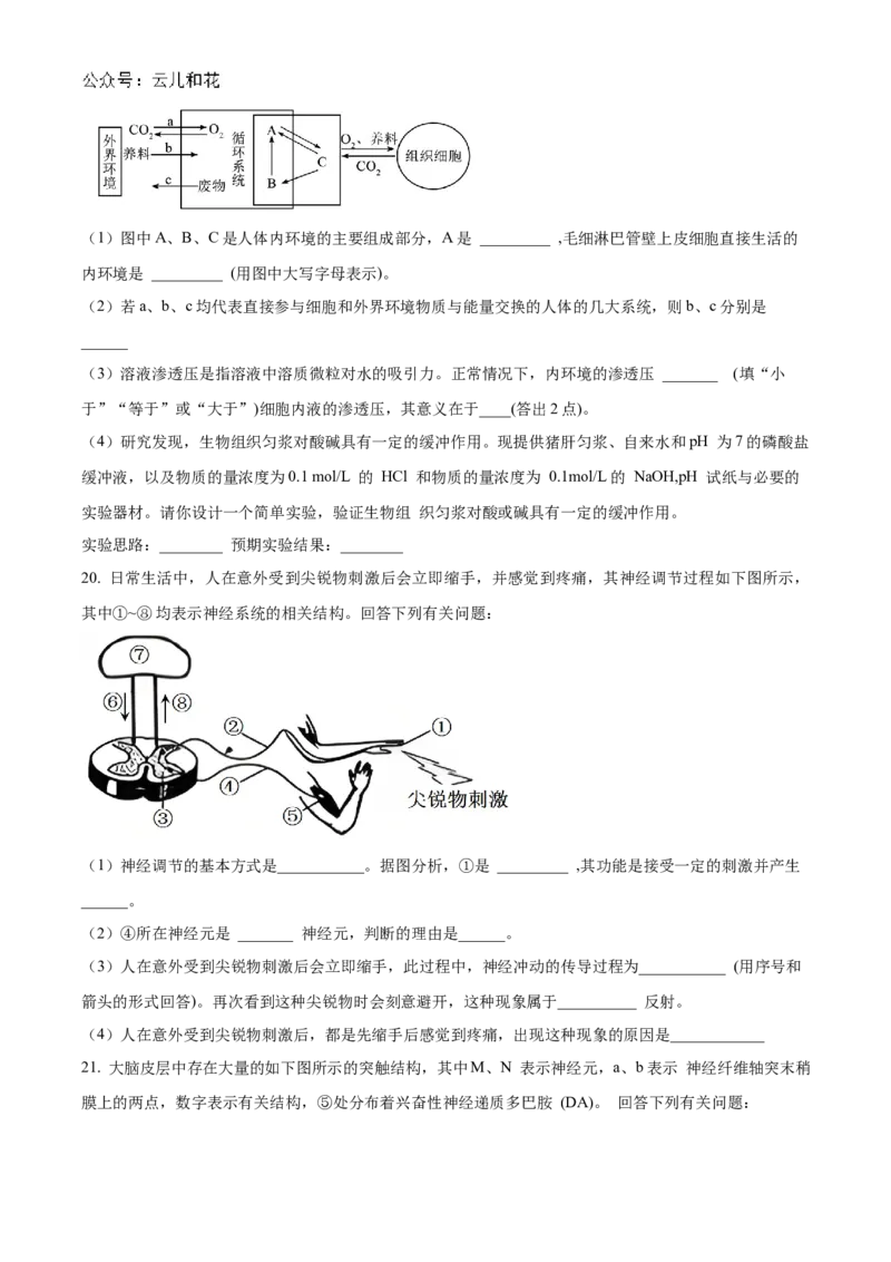 2025河南省天一大联考高二上学期阶段性测试（一）生物Word版含答案_2024-2025高二（7-7月题库）_2024年10月试卷_10262025河南省天一大联考高二上学期阶段性测试（一）