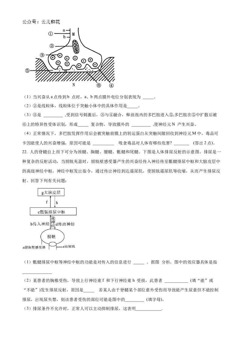 2025河南省天一大联考高二上学期阶段性测试（一）生物Word版含答案_2024-2025高二（7-7月题库）_2024年10月试卷_10262025河南省天一大联考高二上学期阶段性测试（一）