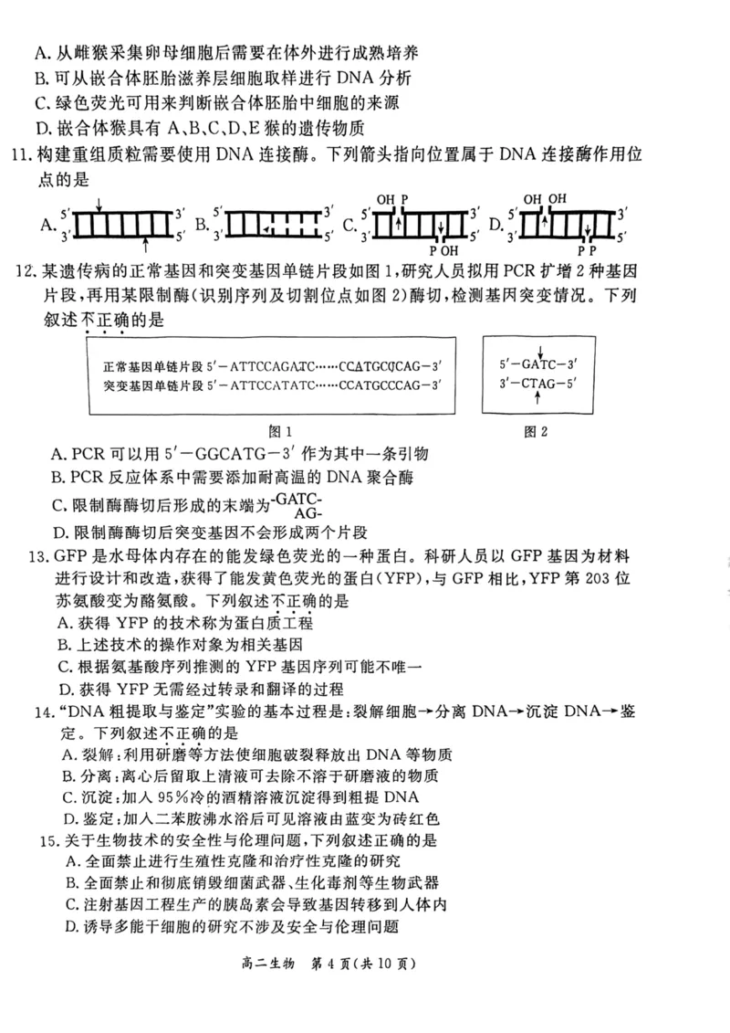 2024北京东城高二（下）期末生物试题及答案_2024-2025高三（6-6月题库）_2024年07月试卷_2407172024届北京市东城区高二（下）期末考试