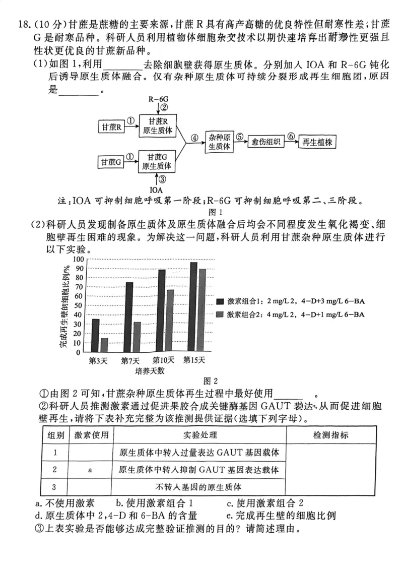 2024北京东城高二（下）期末生物试题及答案_2024-2025高三（6-6月题库）_2024年07月试卷_2407172024届北京市东城区高二（下）期末考试