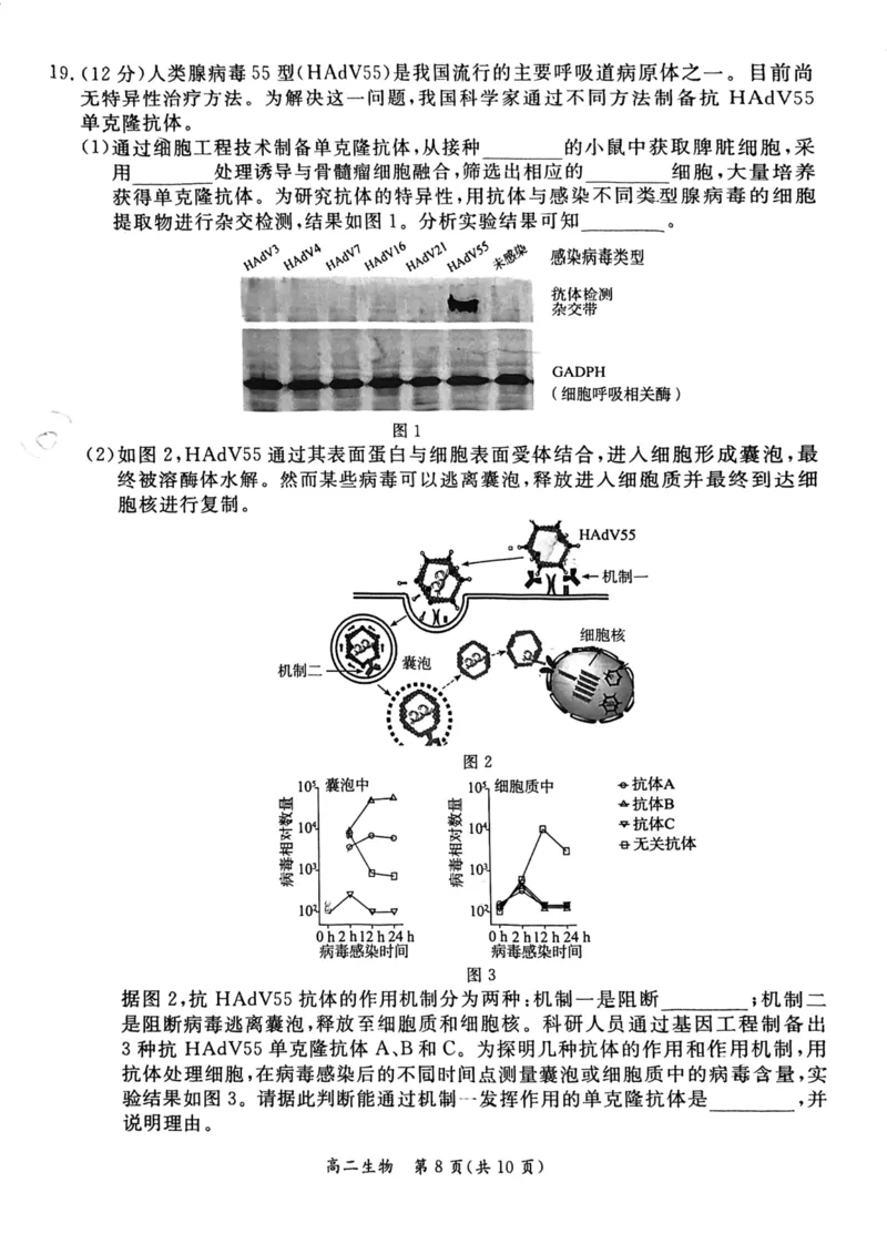 2024北京东城高二（下）期末生物试题及答案_2024-2025高三（6-6月题库）_2024年07月试卷_2407172024届北京市东城区高二（下）期末考试