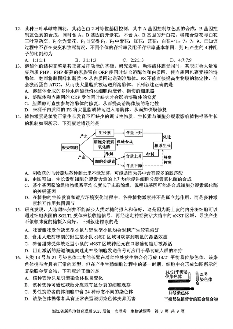 2025届浙江省新阵地联盟高三10月联考生物试题_2024-2025高三（6-6月题库）_2024年10月试卷_1010浙江省新阵地教育联盟2025届第一次联考