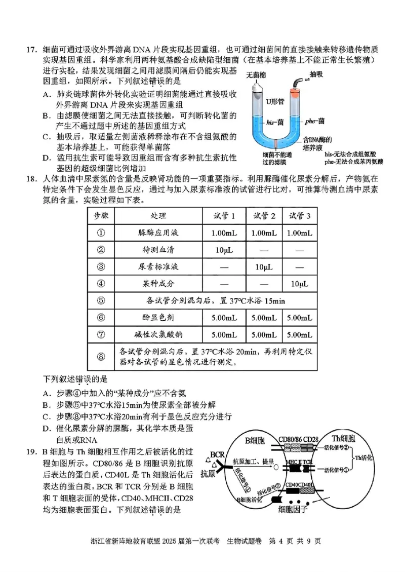 2025届浙江省新阵地联盟高三10月联考生物试题_2024-2025高三（6-6月题库）_2024年10月试卷_1010浙江省新阵地教育联盟2025届第一次联考