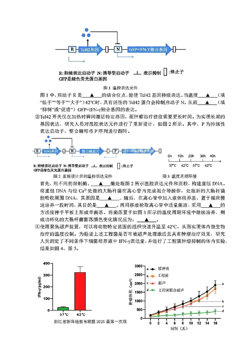 2025届浙江省新阵地联盟高三10月联考生物试题_2024-2025高三（6-6月题库）_2024年10月试卷_1010浙江省新阵地教育联盟2025届第一次联考