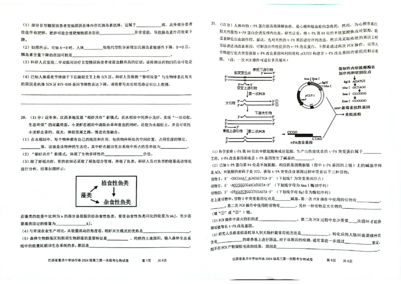 江西省重点中学协作体2024届高三第一次联考生物试卷_2024年2月_01每日更新_24号_2024届江西省重点中学协作体高三下学期第一次联考