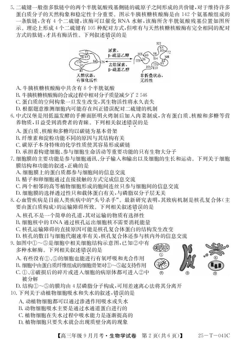 2025届喀什二中9月份月考&mdash;生物_2024-2025高三（6-6月题库）_2024年10月试卷_1003新疆维吾尔自治区喀什第二中学2024-2025学年高三上学期9月份月考_2025届喀什二中9月份月考&mdash;生物