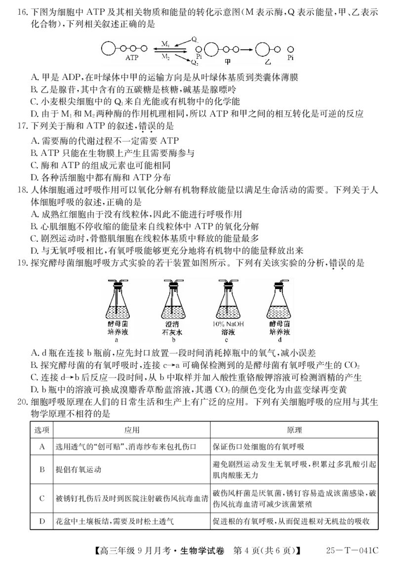 2025届喀什二中9月份月考&mdash;生物_2024-2025高三（6-6月题库）_2024年10月试卷_1003新疆维吾尔自治区喀什第二中学2024-2025学年高三上学期9月份月考_2025届喀什二中9月份月考&mdash;生物
