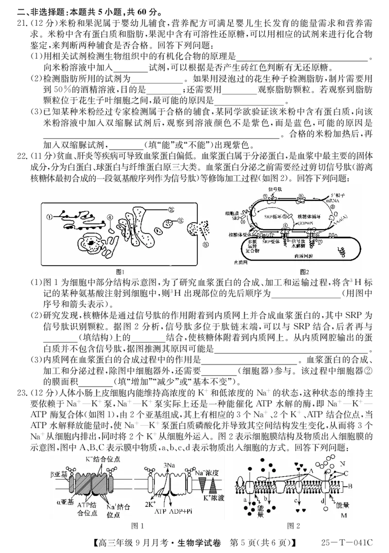 2025届喀什二中9月份月考&mdash;生物_2024-2025高三（6-6月题库）_2024年10月试卷_1003新疆维吾尔自治区喀什第二中学2024-2025学年高三上学期9月份月考_2025届喀什二中9月份月考&mdash;生物