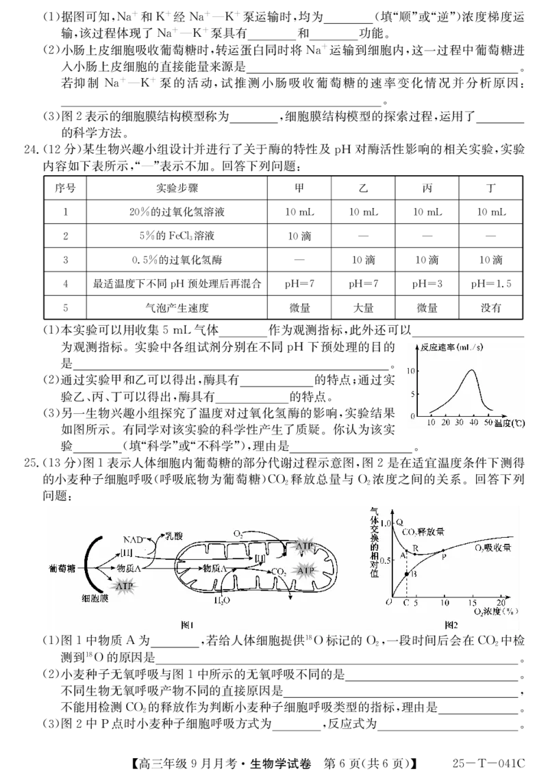 2025届喀什二中9月份月考&mdash;生物_2024-2025高三（6-6月题库）_2024年10月试卷_1003新疆维吾尔自治区喀什第二中学2024-2025学年高三上学期9月份月考_2025届喀什二中9月份月考&mdash;生物