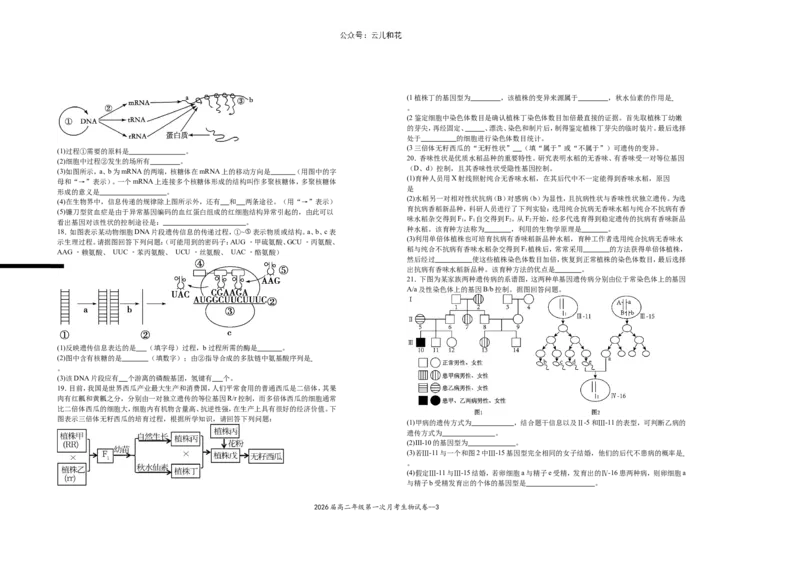 2026届高二年级第一次月考生物试卷_2024-2025高二（7-7月题库）_2024年11月试卷_1102江西省宜春市上高二中2024-2025学年高二上学期第一次月考