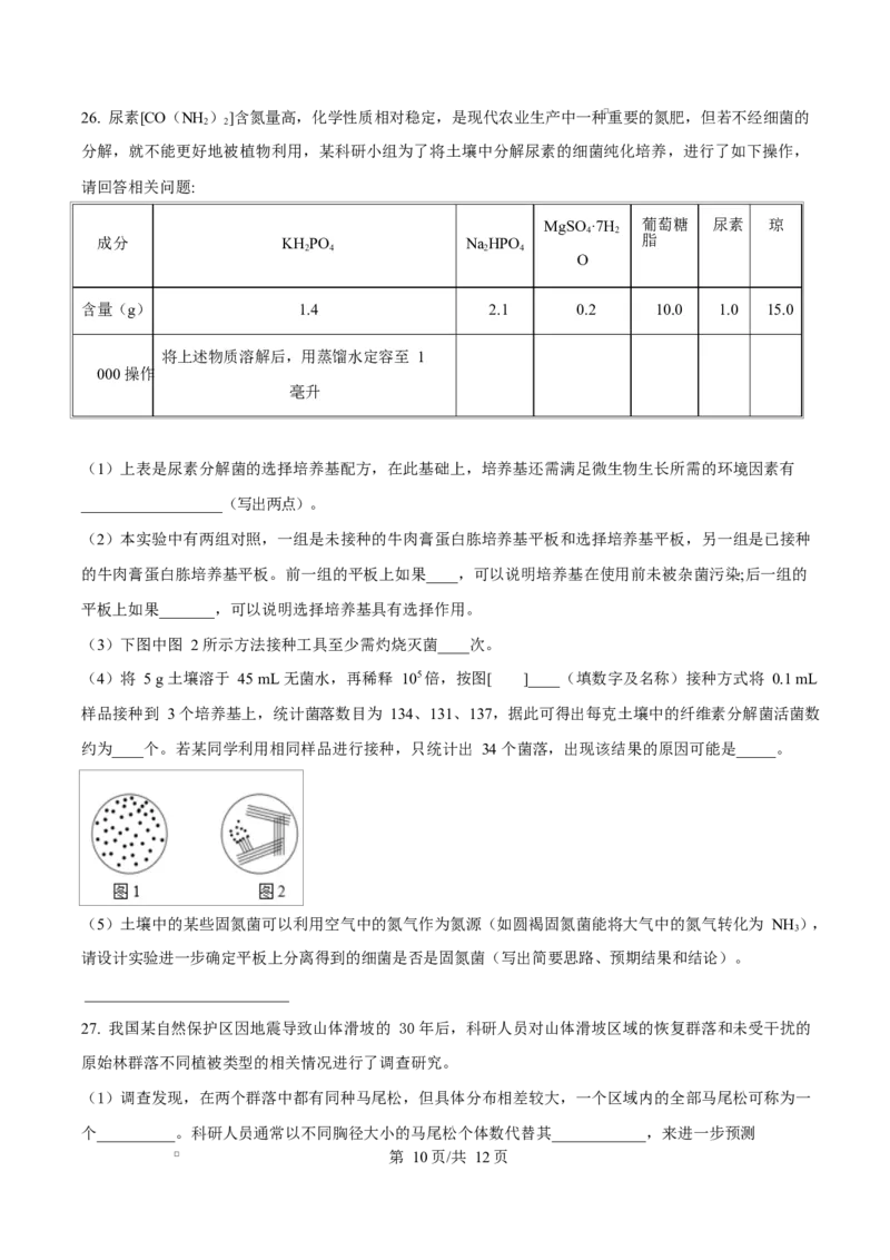 内蒙古自治区赤峰市红山区赤峰第四中学2024-2025学年高二下学期4月月考生物试题Word版无答案_2024-2025高二（7-7月题库）_2025年05月试卷