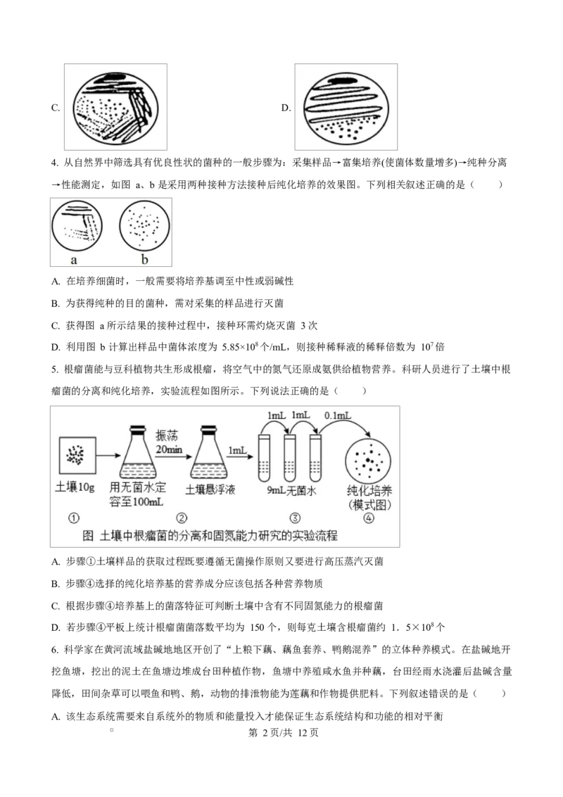内蒙古自治区赤峰市红山区赤峰第四中学2024-2025学年高二下学期4月月考生物试题Word版无答案_2024-2025高二（7-7月题库）_2025年05月试卷