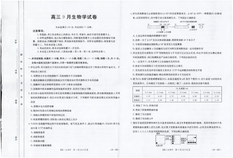 2025届福建高三金太阳9月开学大联考（25-23C）生物+答案_2024-2025高三（6-6月题库）_2024年09月试卷_09082025届福建高三金太阳9月开学大联考（25-23C）