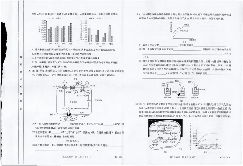 2025届福建高三金太阳9月开学大联考（25-23C）生物+答案_2024-2025高三（6-6月题库）_2024年09月试卷_09082025届福建高三金太阳9月开学大联考（25-23C）