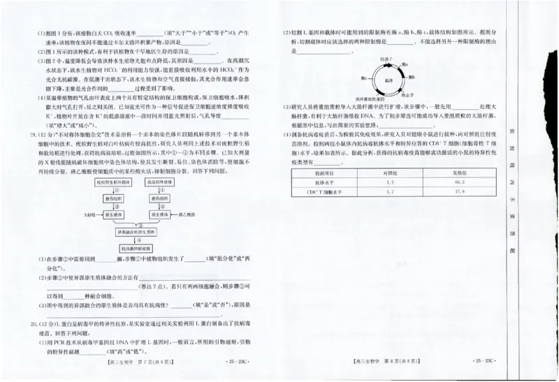2025届福建高三金太阳9月开学大联考（25-23C）生物+答案_2024-2025高三（6-6月题库）_2024年09月试卷_09082025届福建高三金太阳9月开学大联考（25-23C）