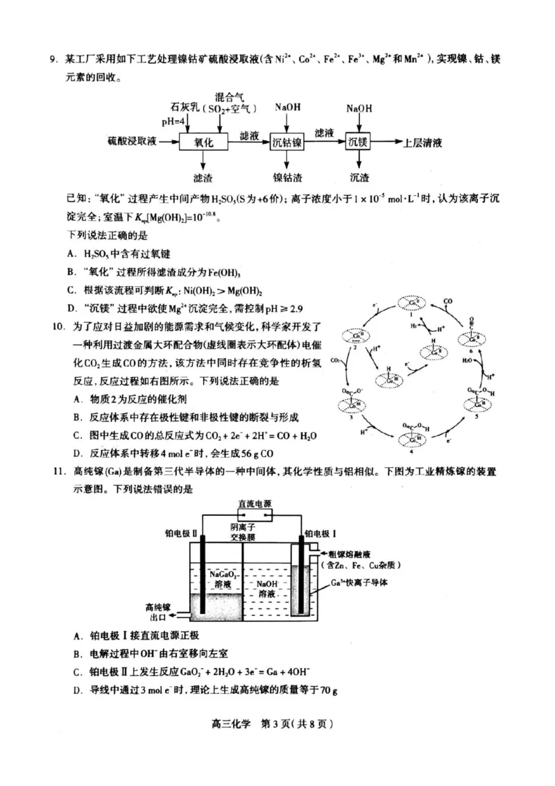 2024届河北省石家庄市普通高中学校毕业年级教学质量摸底检测化学(1)_2023年11月_01每日更新_23号_2024届河北省石家庄市普通高中学校毕业年级教学质量摸底检测