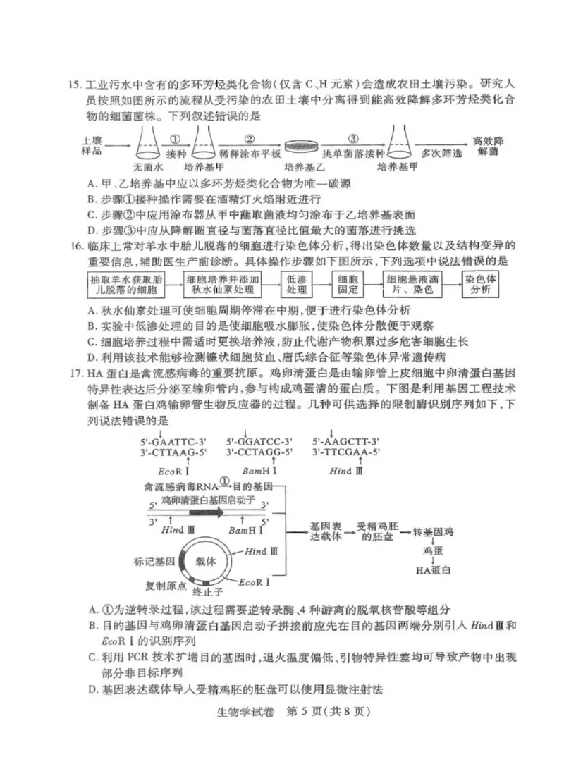 湖北八市生物试卷_2024年3月_013月合集_2024届湖北省八市联考八市高三（3月）联考_2024年湖北省八市联考八市高三（3月）联考生物