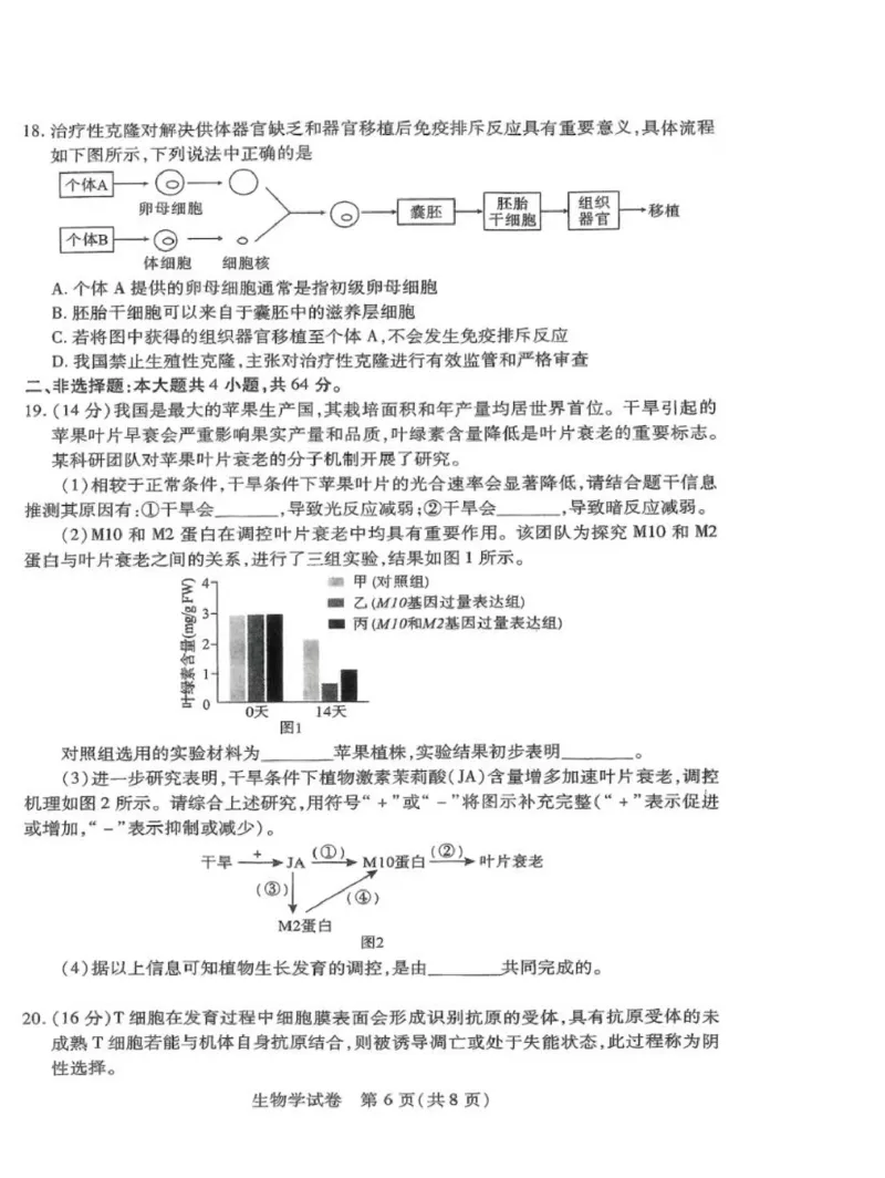 湖北八市生物试卷_2024年3月_013月合集_2024届湖北省八市联考八市高三（3月）联考_2024年湖北省八市联考八市高三（3月）联考生物