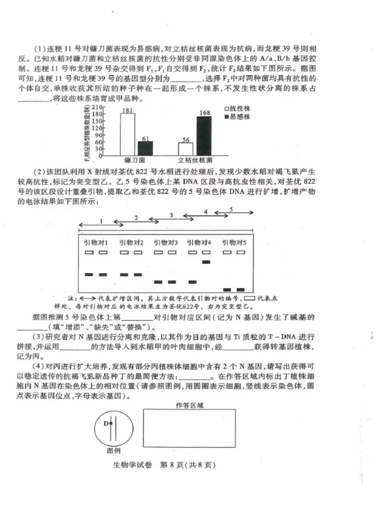 湖北八市生物试卷_2024年3月_013月合集_2024届湖北省八市联考八市高三（3月）联考_2024年湖北省八市联考八市高三（3月）联考生物