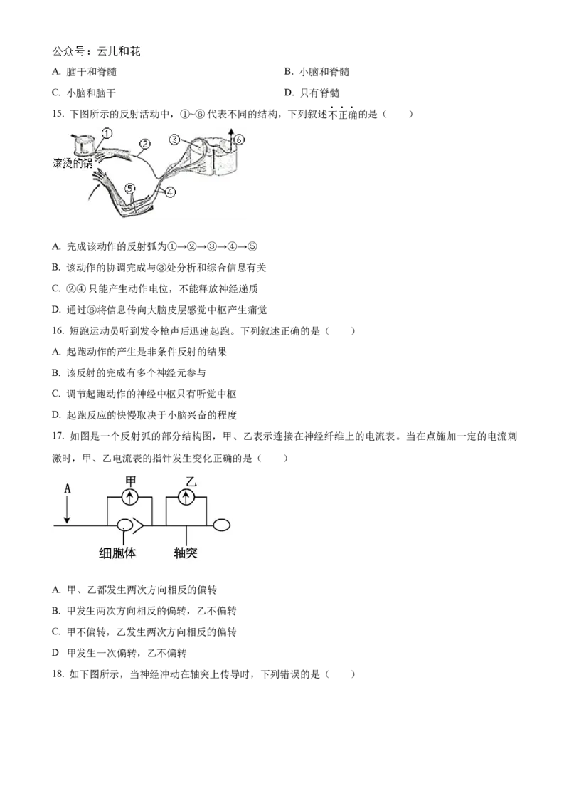 北京市海淀区北京理工大学附属中学2024-2025学年高二上学期10月月考生物试题Word版无答案_2024-2025高二（7-7月题库）_2024年10月试卷