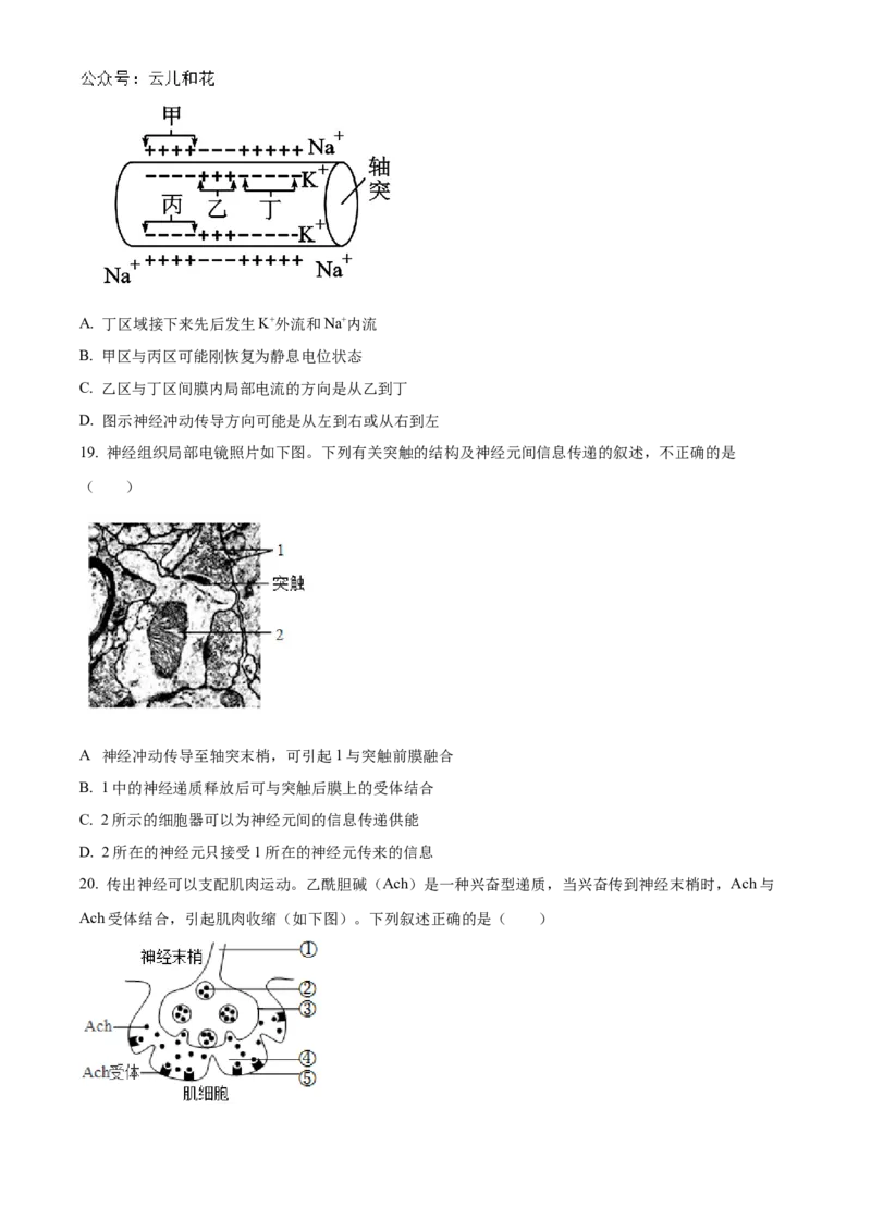 北京市海淀区北京理工大学附属中学2024-2025学年高二上学期10月月考生物试题Word版无答案_2024-2025高二（7-7月题库）_2024年10月试卷