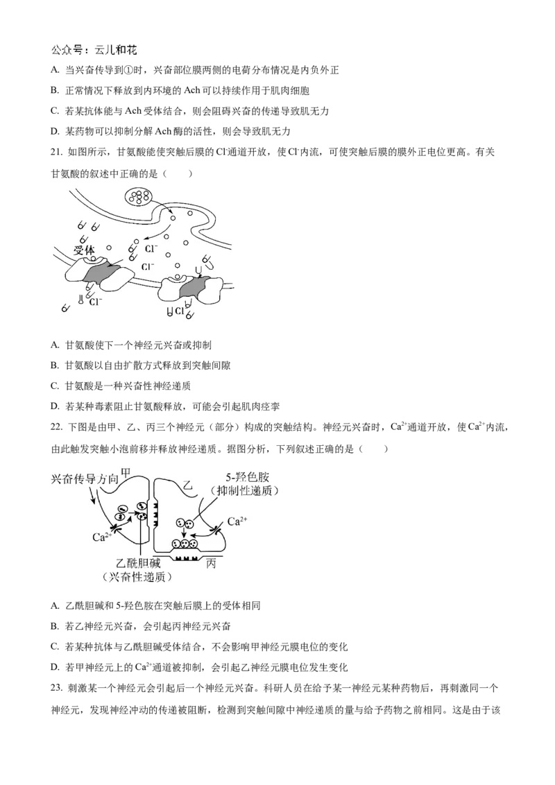北京市海淀区北京理工大学附属中学2024-2025学年高二上学期10月月考生物试题Word版无答案_2024-2025高二（7-7月题库）_2024年10月试卷