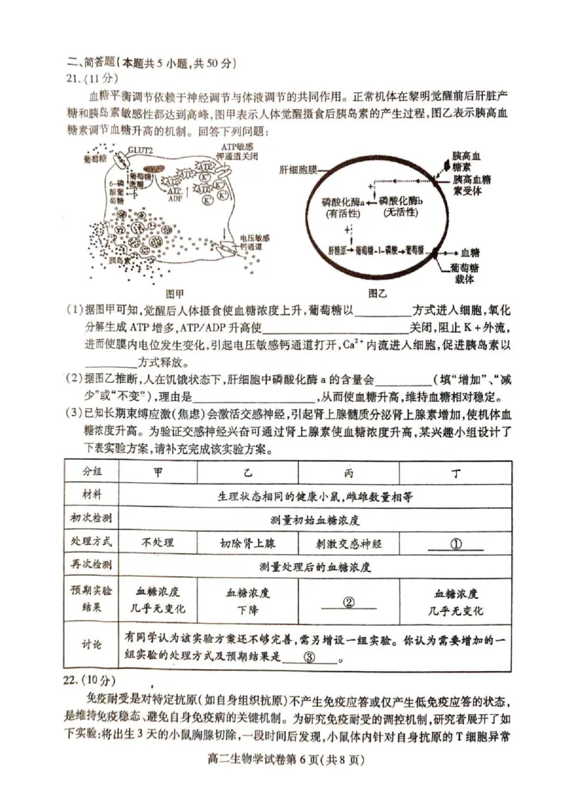 内江市2025-2026学年度第一学期高二期末检测题生物_2024-2025高二（7-7月题库）_2026年1月高二_260130四川省内江市2025-2026学年度第一学期高二期末检测题（全）