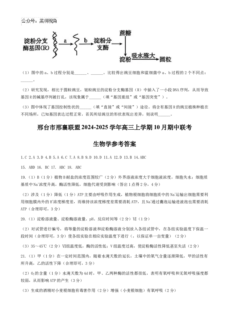 2025届河北金太阳高三10月联考生物学试题（含答案）_2024-2025高三（6-6月题库）_2024年10月试卷_10262025届河北金太阳高三10月联考（25-83C）