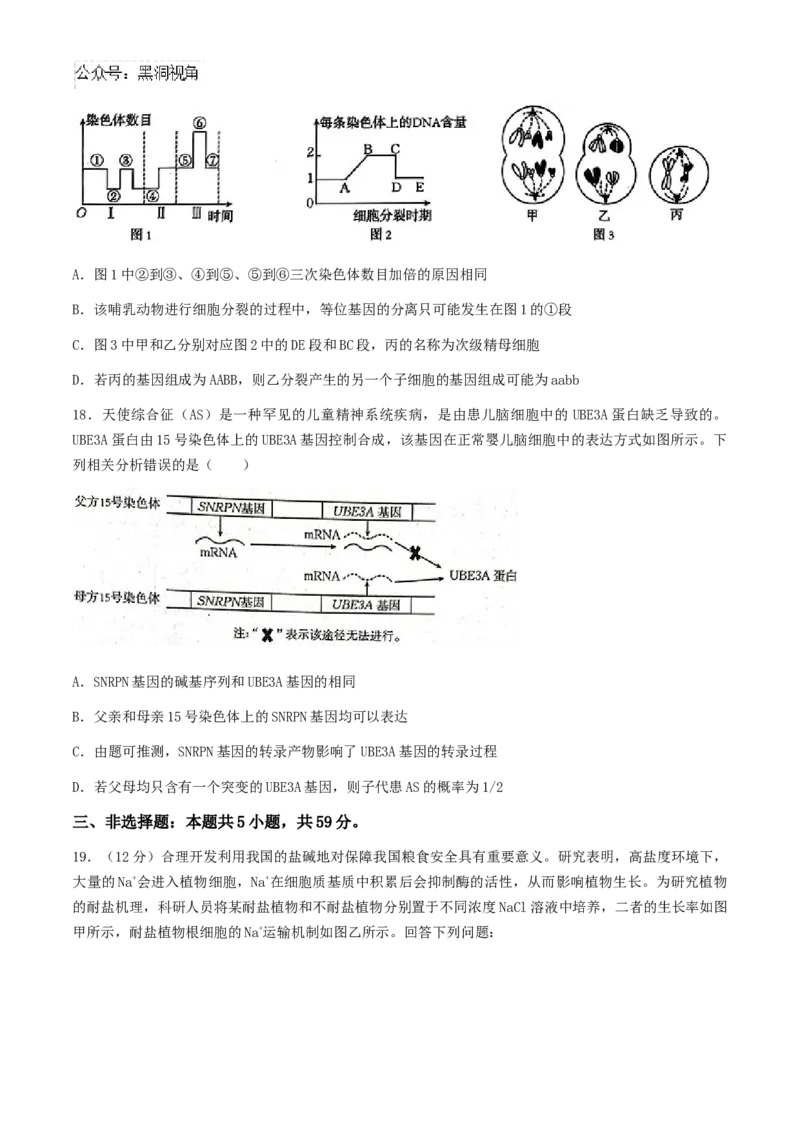 2025届河北金太阳高三10月联考生物学试题（含答案）_2024-2025高三（6-6月题库）_2024年10月试卷_10262025届河北金太阳高三10月联考（25-83C）