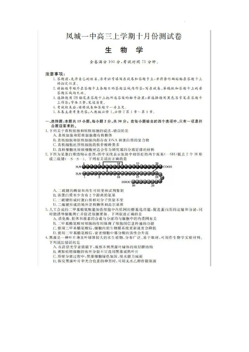 凤城市第一中学2024届高三上学10月测试生物(1)_2023年11月_0211月合集_2024届辽宁省凤城市第一中学高三上学10月测试（24073C）_辽宁省凤城市第一中学2024届高三上学10月测试（24073C）生物