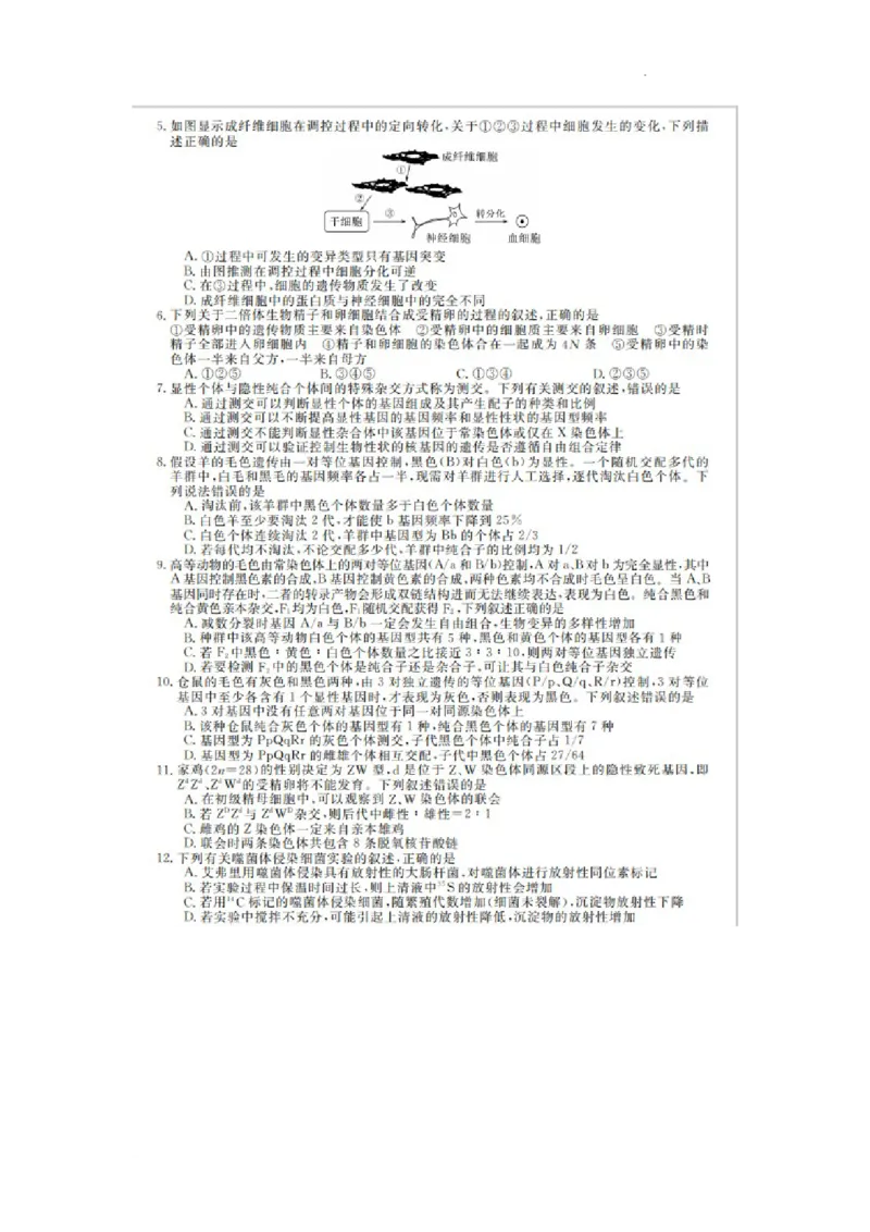 凤城市第一中学2024届高三上学10月测试生物(1)_2023年11月_0211月合集_2024届辽宁省凤城市第一中学高三上学10月测试（24073C）_辽宁省凤城市第一中学2024届高三上学10月测试（24073C）生物