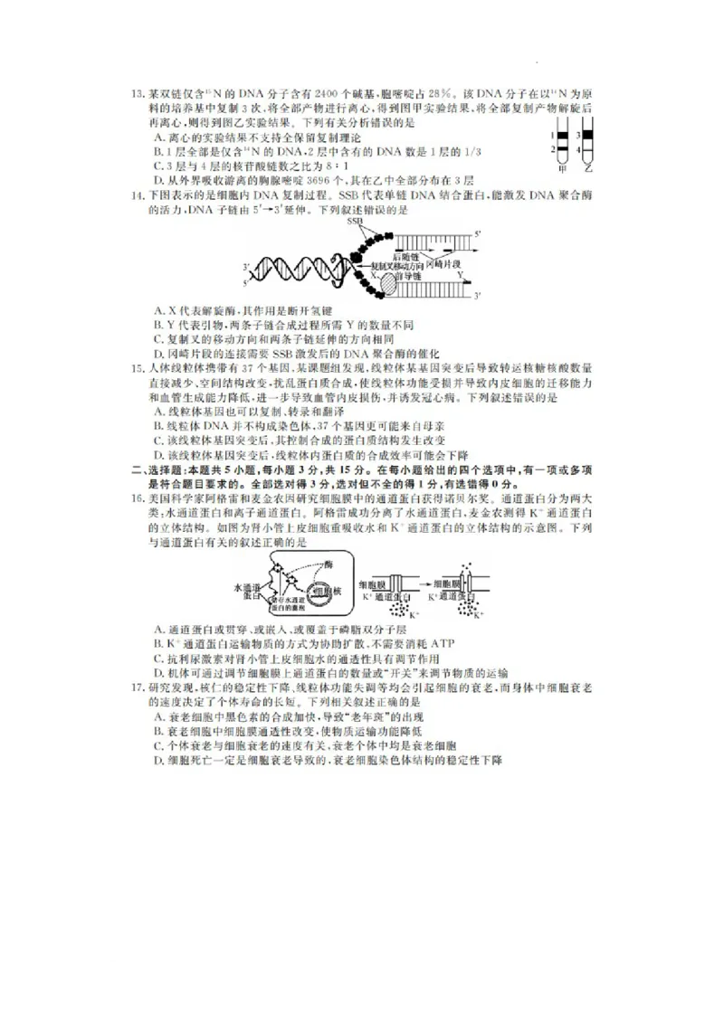 凤城市第一中学2024届高三上学10月测试生物(1)_2023年11月_0211月合集_2024届辽宁省凤城市第一中学高三上学10月测试（24073C）_辽宁省凤城市第一中学2024届高三上学10月测试（24073C）生物