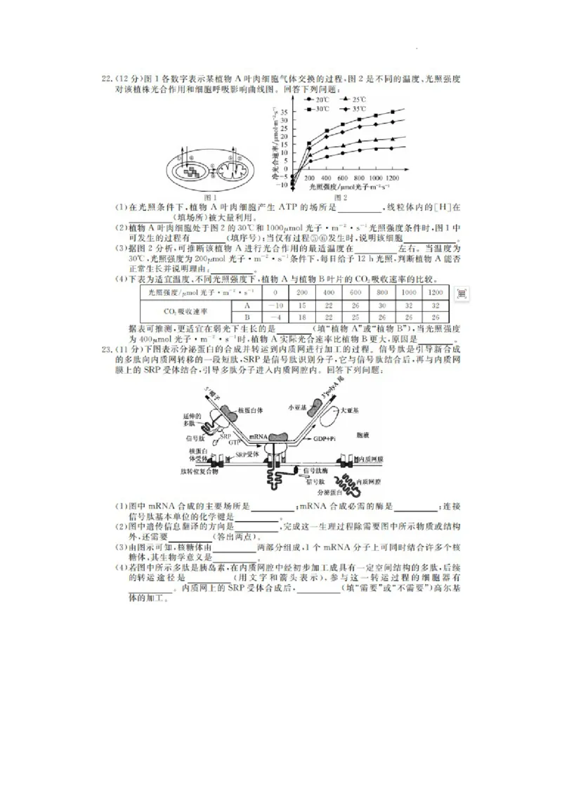 凤城市第一中学2024届高三上学10月测试生物(1)_2023年11月_0211月合集_2024届辽宁省凤城市第一中学高三上学10月测试（24073C）_辽宁省凤城市第一中学2024届高三上学10月测试（24073C）生物