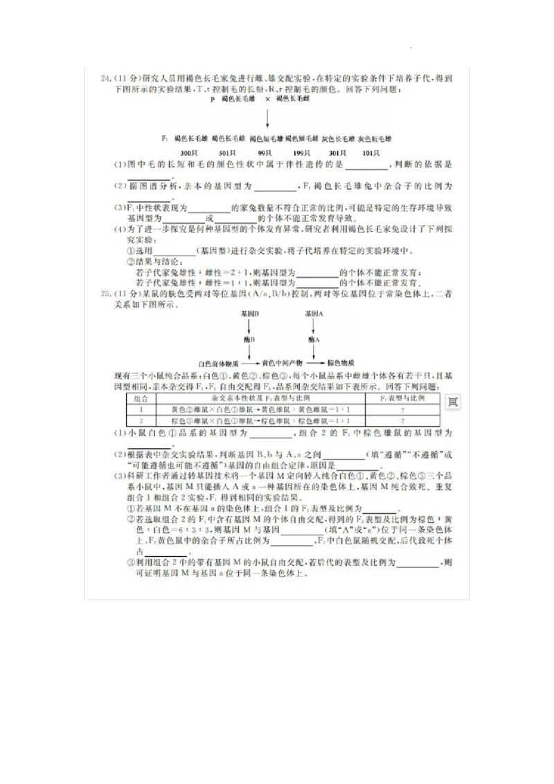 凤城市第一中学2024届高三上学10月测试生物(1)_2023年11月_0211月合集_2024届辽宁省凤城市第一中学高三上学10月测试（24073C）_辽宁省凤城市第一中学2024届高三上学10月测试（24073C）生物