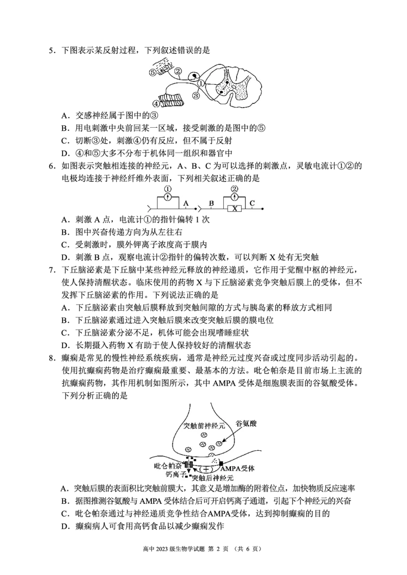 2024～2025学年度上期高中2023级期中考试生物学试题_2024-2025高二（7-7月题库）_2024年11月试卷_1110四川省成都市蓉城名校联盟2024-2025学年高二上学期期中考试