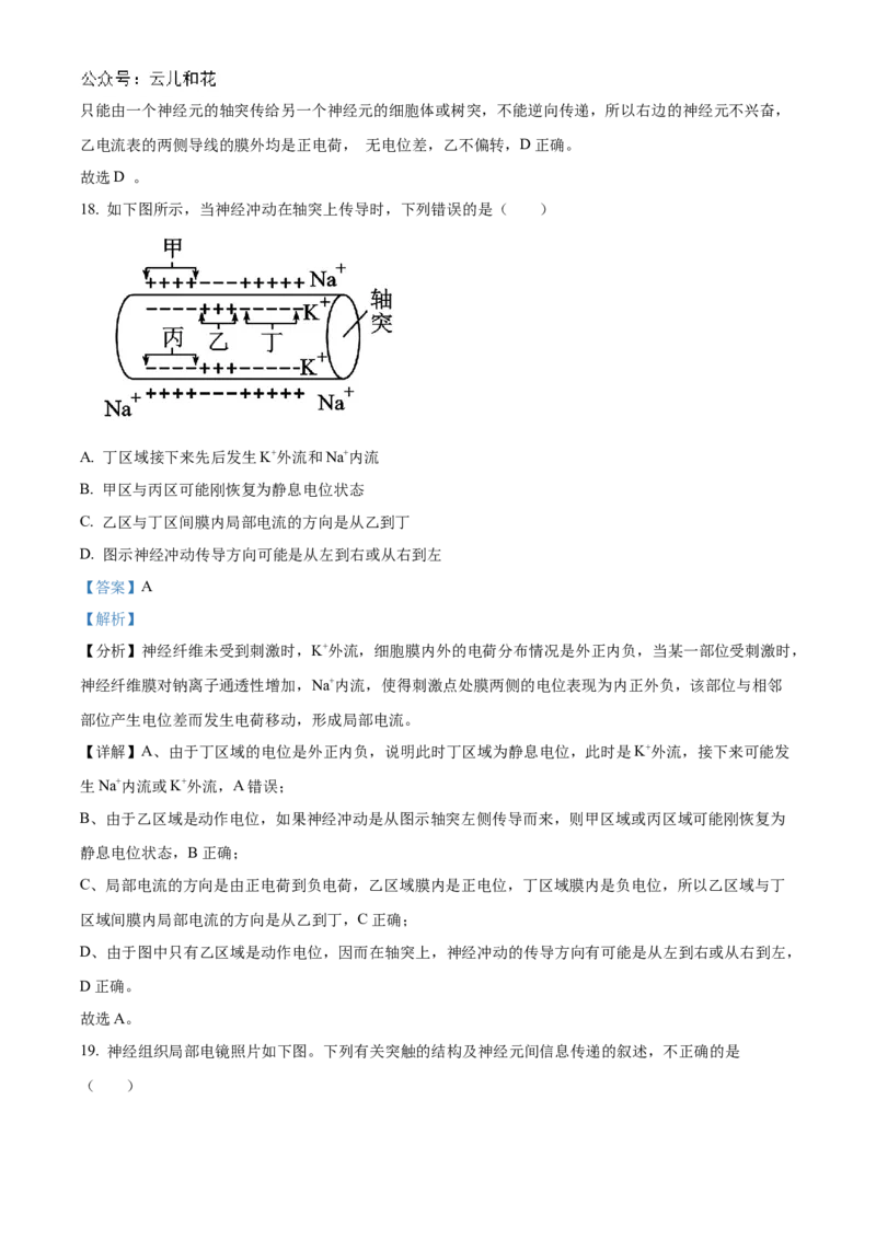 北京市海淀区北京理工大学附属中学2024-2025学年高二上学期10月月考生物试题Word版含解析_2024-2025高二（7-7月题库）_2024年10月试卷
