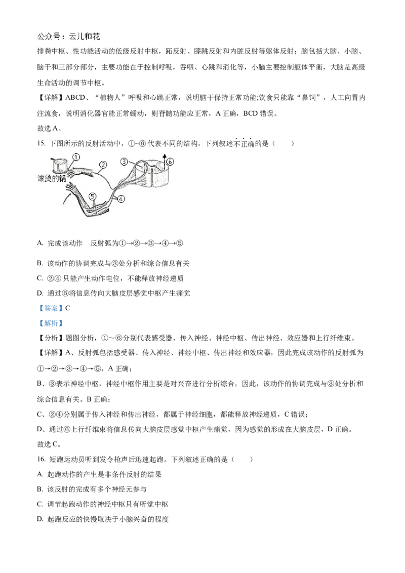 北京市海淀区北京理工大学附属中学2024-2025学年高二上学期10月月考生物试题Word版含解析_2024-2025高二（7-7月题库）_2024年10月试卷