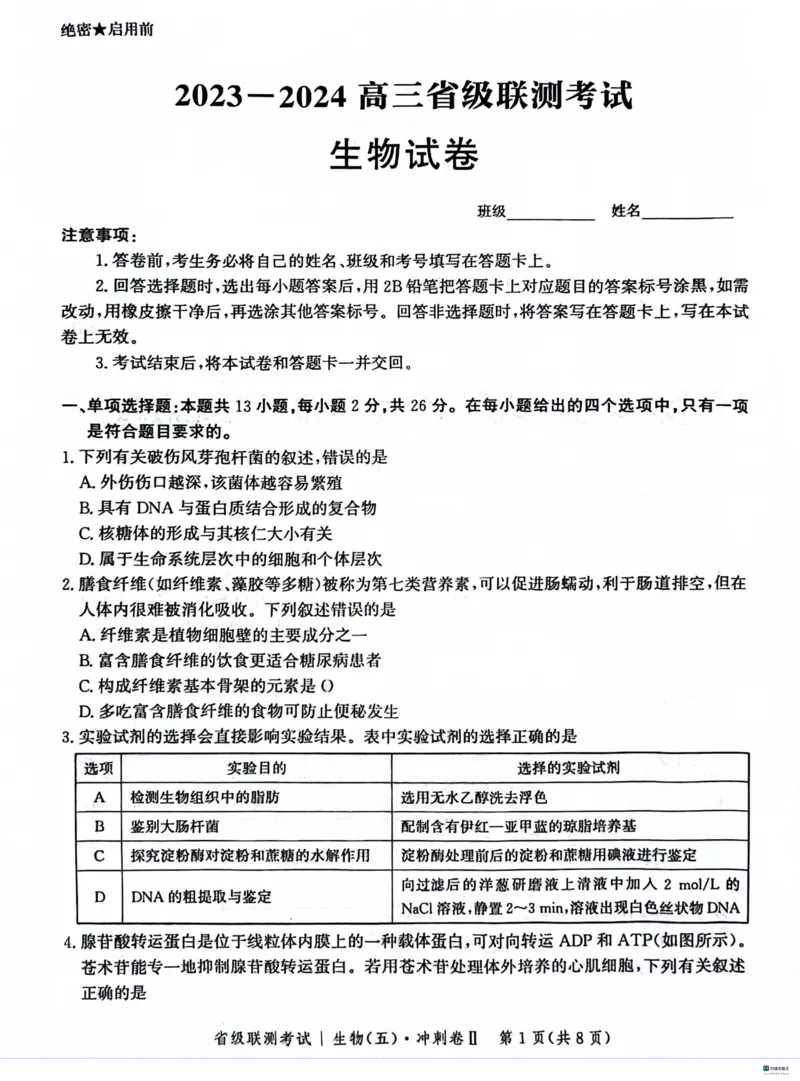 河北省2024届高三下学期省级联测考试（3月）生物(1)_2024年3月_013月合集_2024届河北省高三下学期省级联测考试（3月）