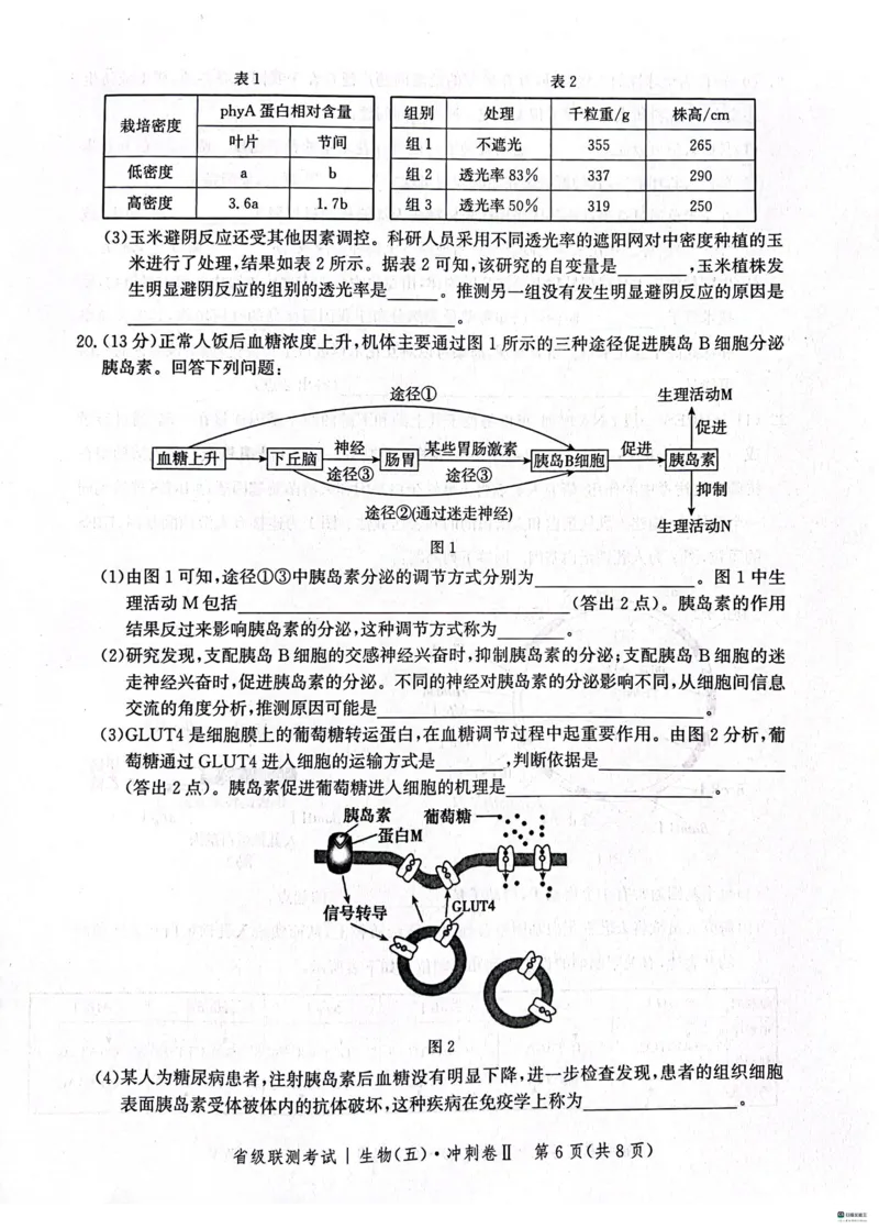 河北省2024届高三下学期省级联测考试（3月）生物(1)_2024年3月_013月合集_2024届河北省高三下学期省级联测考试（3月）